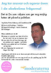 Valbroschyr 2010 för Peter Friberg, moderat metallare och personvald politiker